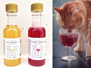 catnip-wine-for-cats-apollo-peak-coverimage