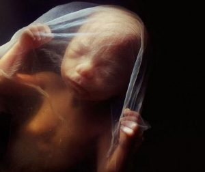 18 εβδομάδων. Το έμβρυο τώρα μπορεί να ακούει ήχους από τον έξω κόσμο.