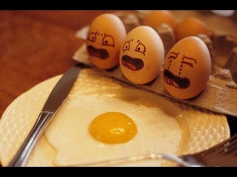 αυγά και αντικατάστατο αυγού